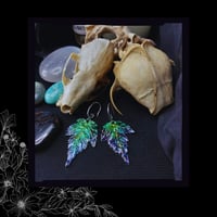 Image 3 of 🜢 Acer Pavonis 🜢