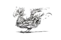 Image 1 of Zed and Fidget