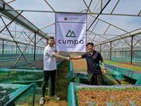 Image 2 of Vietnam - Mr. Toi - Semi-Washed Robusta - Espresso