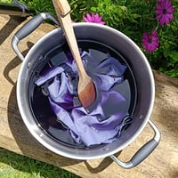 Carte cadeau | Découverte 