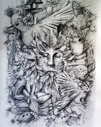 Image 1 of The Garden