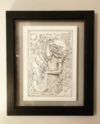 Image 3 of Cala Lily