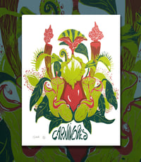 Sérigraphie plantes carnivores