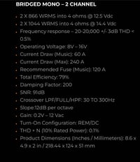 Image 3 of Cicada Pro Amplifier