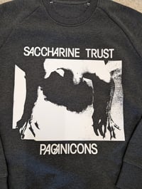 Image 4 of Saccharine Trust one-off Jumpers