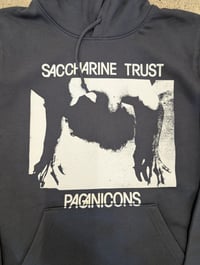Image 2 of Saccharine Trust one-off Jumpers