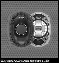 Image 1 of Cicada 6x9