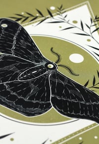 Image 4 of A3 Art Print 'Moth'