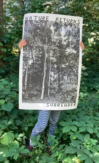 Image 1 of NATURE RETURNS SURRENDER