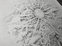 Image 7 of Mooncatcher II