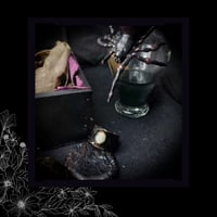 Image 2 of ☽ SerpenteS Alba Opallios ☾