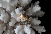 Image 2 of Anillo Cantábrico