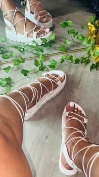 Image 2 of Gladiators—White