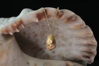 Image 7 of Collar Cantábrico