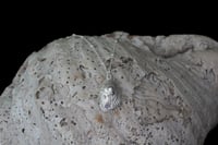 Image 6 of Collar Cantábrico