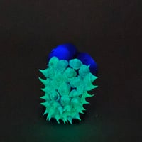 Image 4 of Norm - turple painted glow eyes spikes