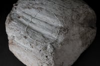 Image 3 of Tobillera Cantábrico