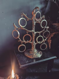 Image 2 of Spooky tree frames 