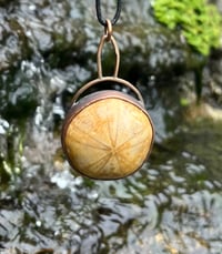 Image 1 of Fossil sand dollar pendant 