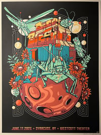 PAPER ::: Artist Edition Print ::: Disco Biscuits | Syracuse, NY | 6/17/25