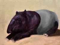 A Tapir Knows To Bury Its Secrets