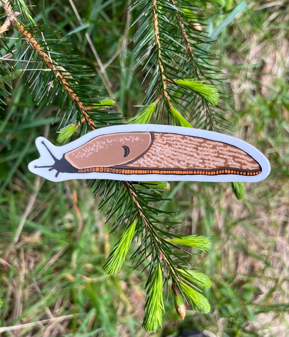 Image of Brown Slug Sticker