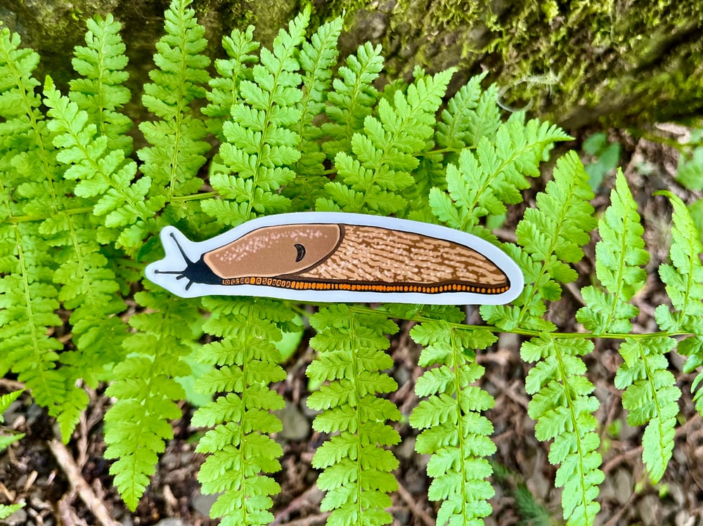 Image of Brown Slug Sticker