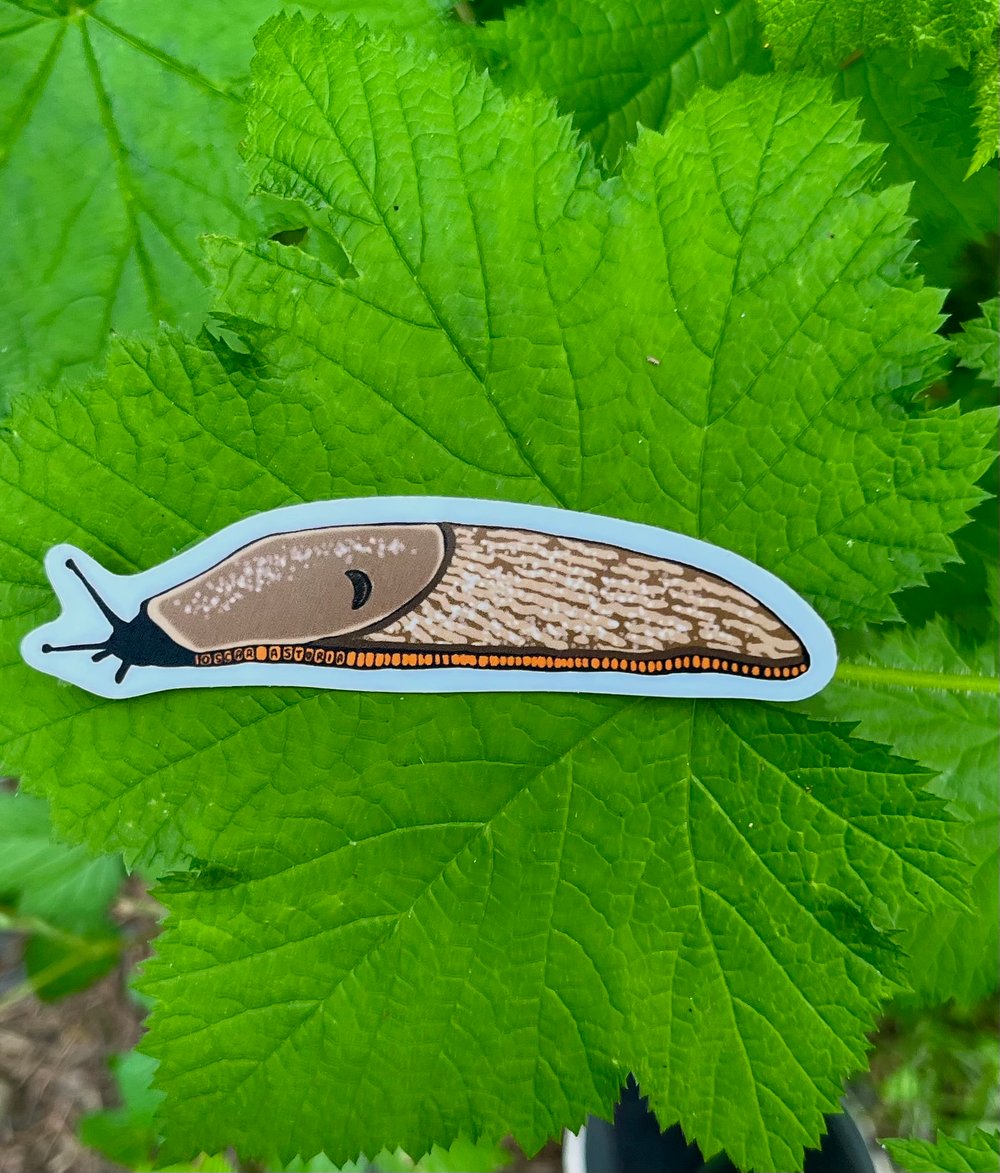 Image of Brown Slug Sticker