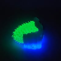 Image 5 of Spikey Webster