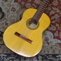 Image 1 of DiGiorgio Brazilian 7 String Classical