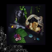 Image 2 of ☽ Castanea Bellatrix ☾