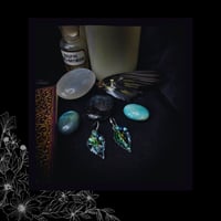 Image 4 of 🜧 Philadelphus Pavonis 🜧