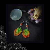 Image 5 of ☽ Rubus Automnalis ☾