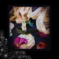 Image 4 of ☽ Serpentinae ☾