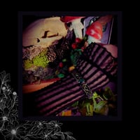 Image 7 of ☽ Serpentinae ☾