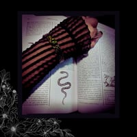 Image 6 of ☽ Serpentinae ☾