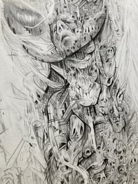 Image 5 of Lowe