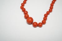 Image 3 of Vintage Red Coral Graduated Bead Necklace - 30" Total Length
