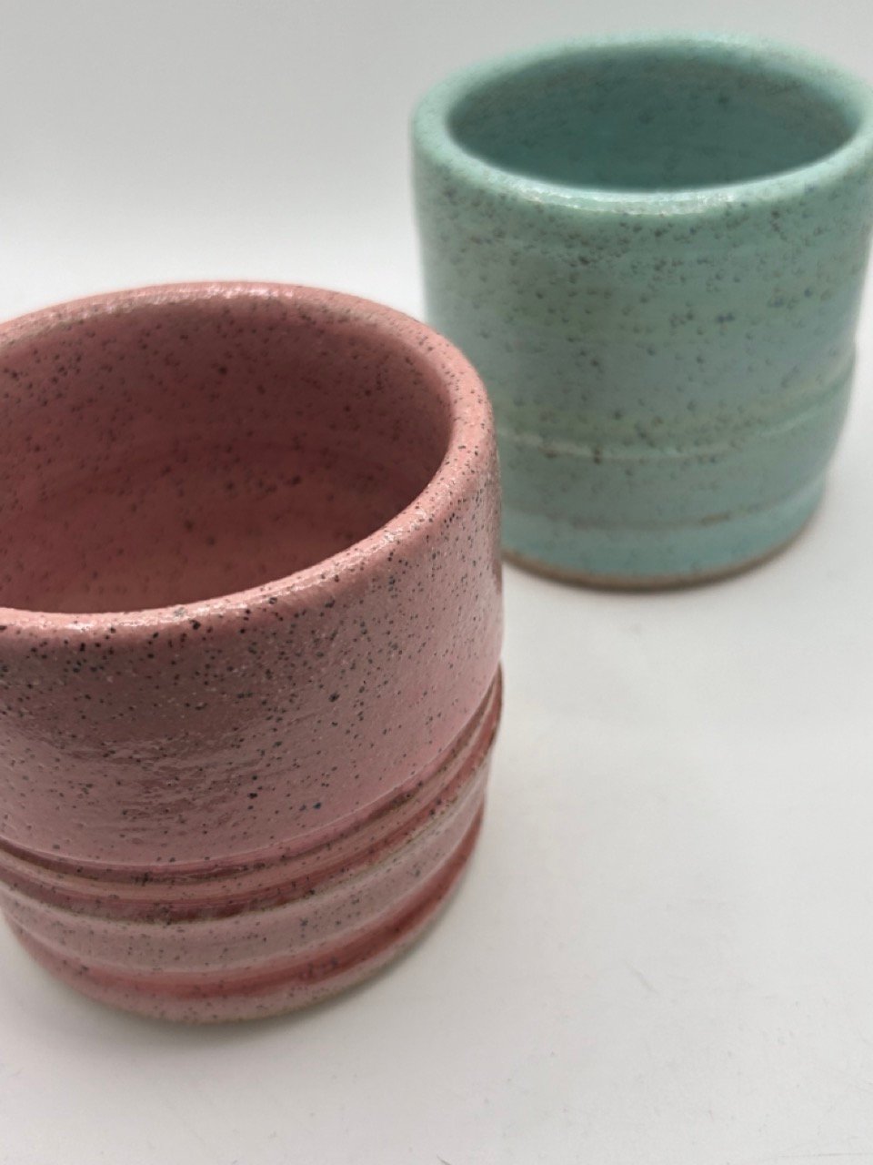 Image of Polka Dot Plant Tumbler Set