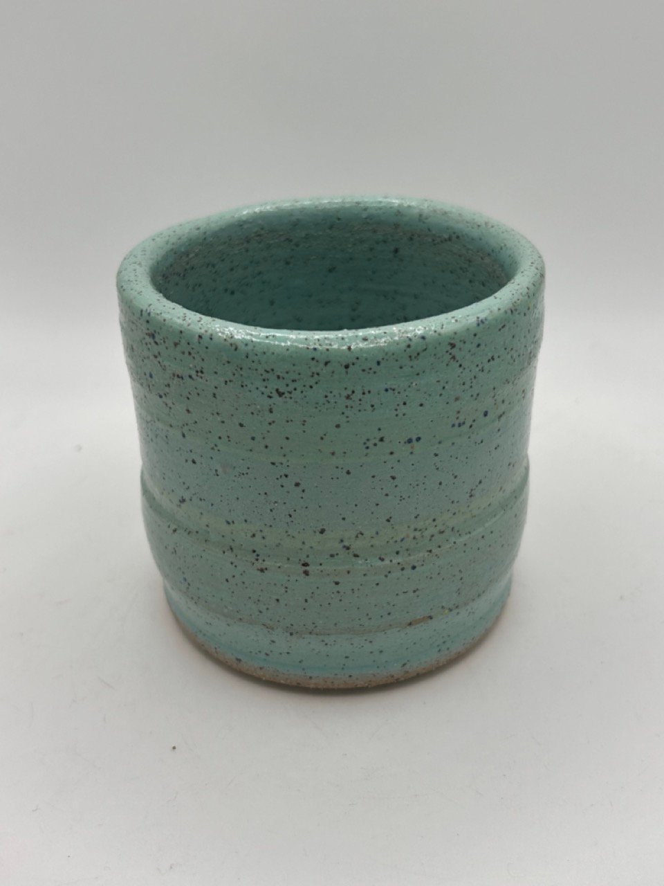 Image of Polka Dot Plant Tumbler Set