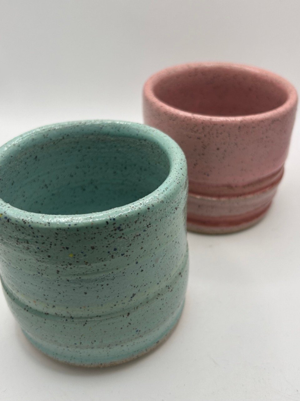 Image of Polka Dot Plant Tumbler Set