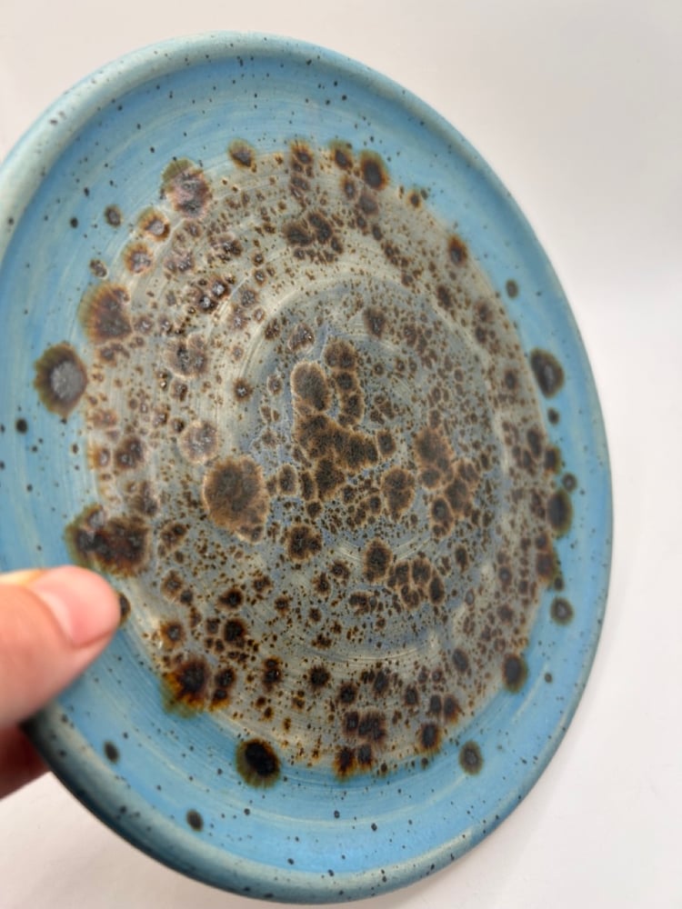Image of Small Galaxy Plate
