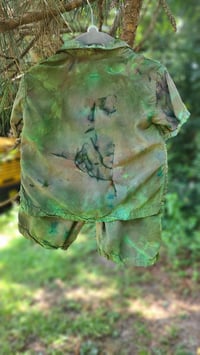 Image 3 of Evergreen