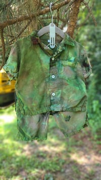 Image 1 of Evergreen