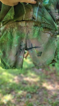 Image 2 of Evergreen