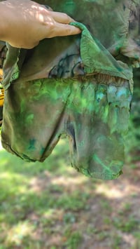 Image 4 of Evergreen