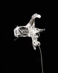 Image 3 of BUTTERFLOWER