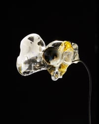 Image 2 of PERLA NOIR