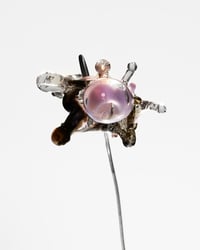 Image 2 of DARK NIGHT HORNY FANTASY