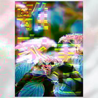 Image 1 of The Wide Open